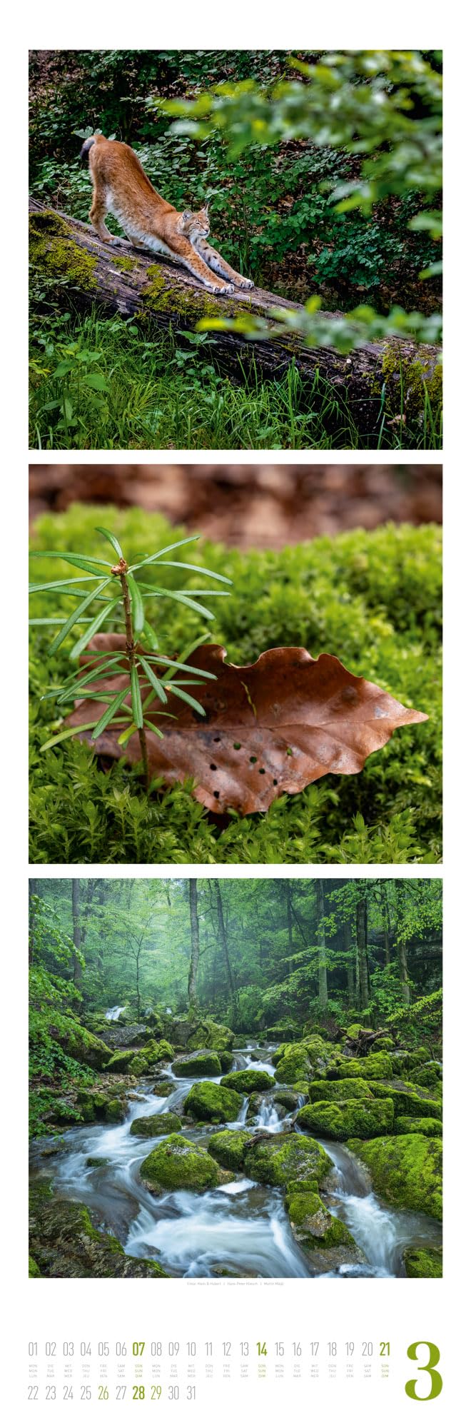 Nature Triplet-Kalender 2027 | Stilvoller Natur-Kalender im schlanken Hochformat (33x100 cm) | Triplet-Fotografie im Premium-Format