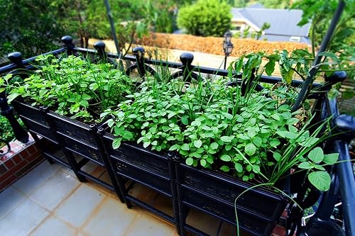 Miniatura 34 de Cama de jardín elevada con patas y malla, material no tóxico protegido contra el sol, 36 pulgadas de largo x 24 pulgadas de ancho x 27 pulgadas