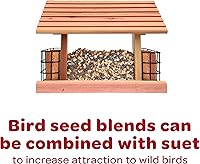 Vista 15 de Kaytee Alimento en forma de pastel de semillas para aves silvestres y gusanos de harina para azulejos, carboneros, pájaros carpinteros y más, 1.4