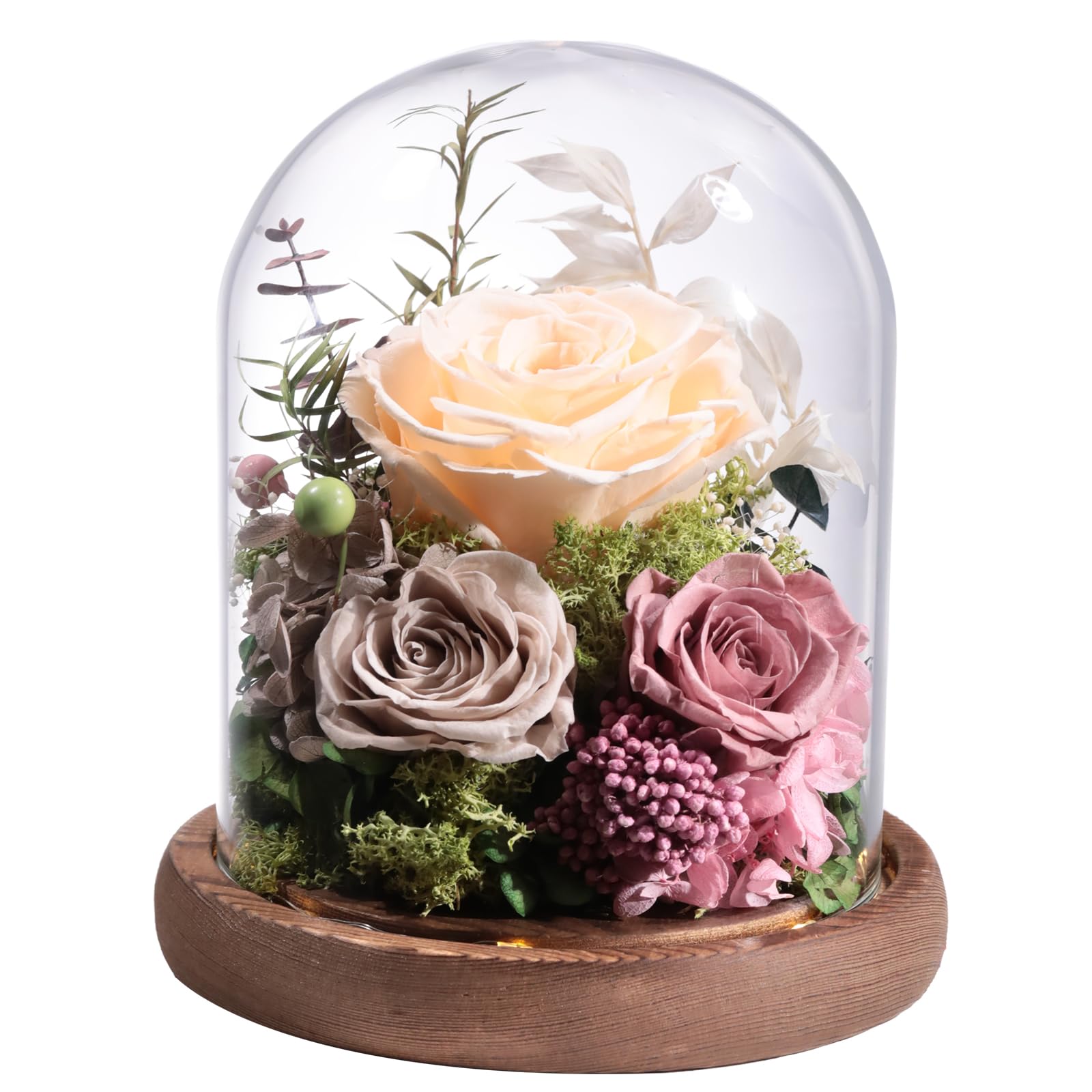 lovenfold Preserved Rose in Glass Dome