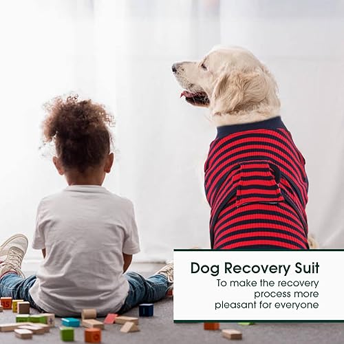 Miniatura 74 de Kuoser Traje de recuperación para perros y gatos después de la cirugía, camisa profesional de recuperación de mascotas, vendajes para heridas