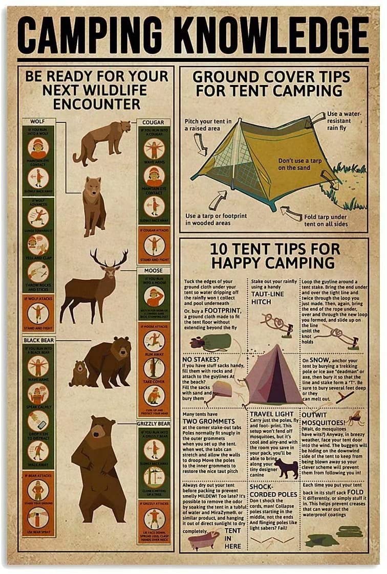 Camping Knowledge Metal Tin Sign Vintage Chic Art Decoration for Home Bar Cafe Farm Store Garage or Club 12x16 Inch