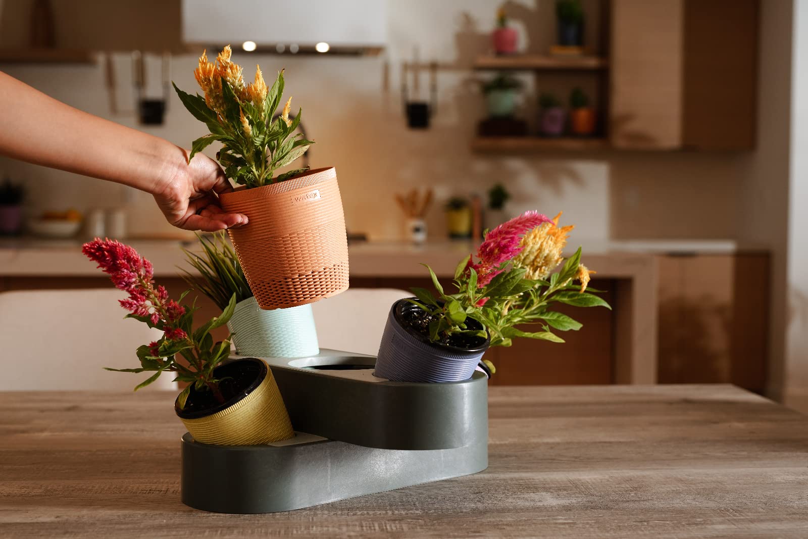 WatexDouble Deck Desktop Garden Set w/ 5 Wheat Straw Plastic planters Incl: Fertigation pedestalx2, 4"" Planter x 4, 5"" Planter x 1 ", BPA Free