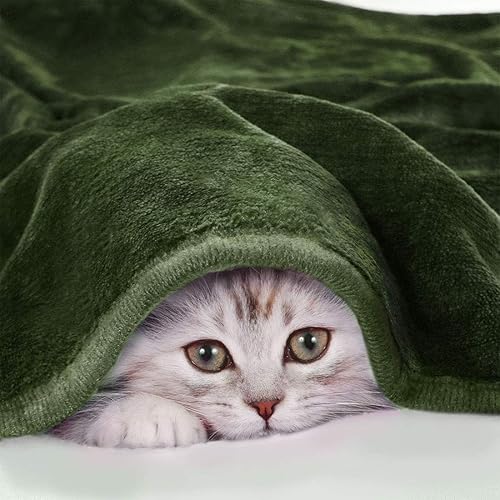 Miniatura 4 de PiccoCasa Manta de franela de forro polar, suave, ligera y cálida para todas las estaciones, dobladillo ancho, lujosa y cómoda, decorativa para sofá