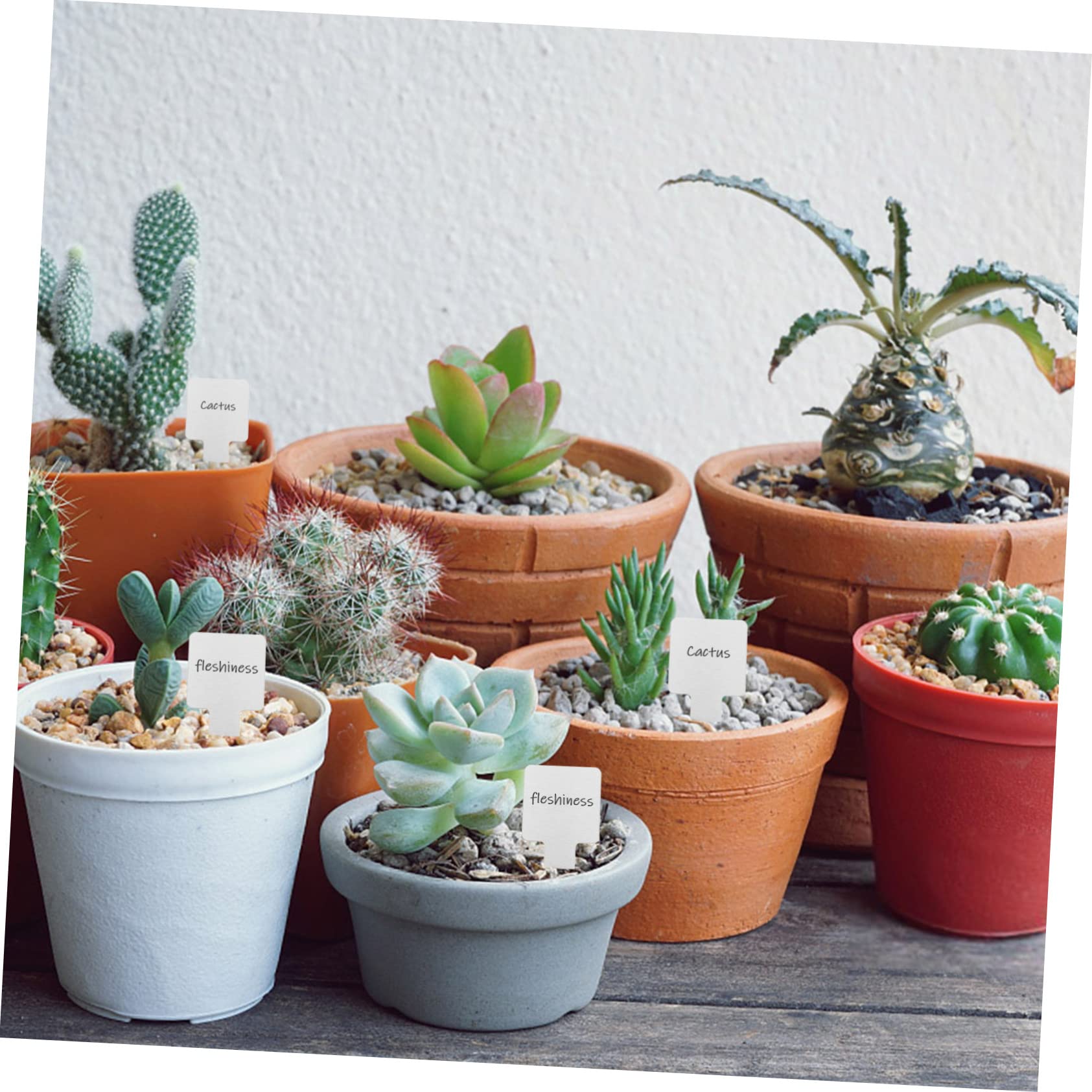 YARNOW 50pezzi Etichettatura Piante Acciaio Inossidabile Da Resistente e Riutilizzabile Per Giardinaggio e Decorazione Esterna Facile Da Scrivere e Installare