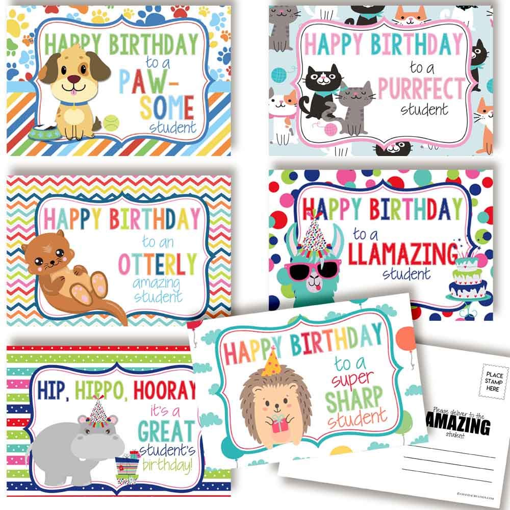 Fun Animal Themed Happy Birthday From Teacher To Student Blank Postcards, 4"x6" Fill In Notecards (6 different designs) by AmandaCreation (30)