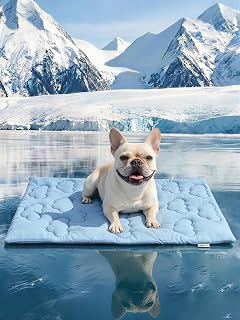 Huafly Dog Cooling Mat,Dual-Sided Cooling Mat for Dogs–Cooling Fabric for Summer,Velvet for All Seasons–Portable for Crate,Car Seat,Sofa&Floor,Machine Washable,Keeps Cats,Dogs&Puppies Cool,Cloud Blue - Amazon product rated Grade B