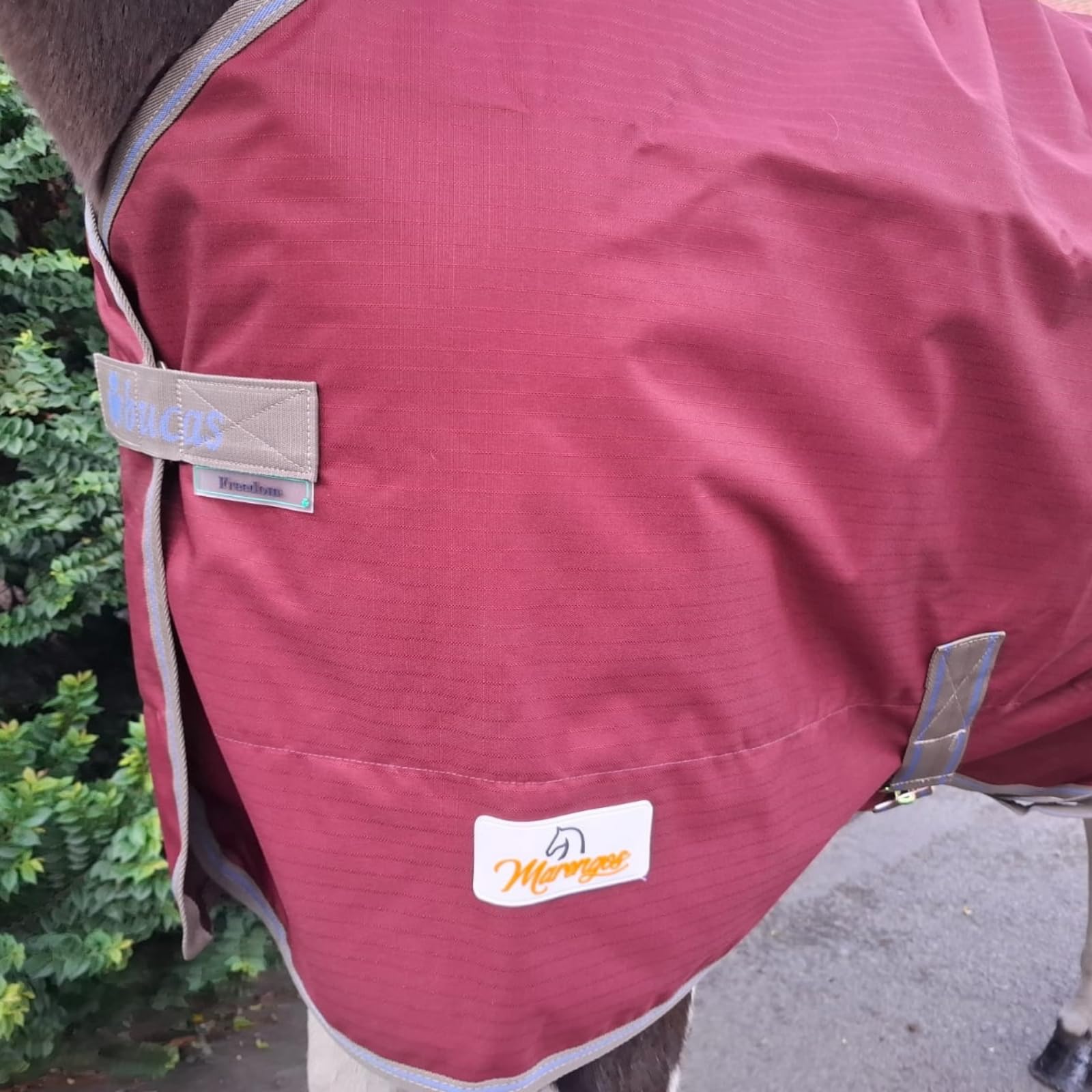 Marengos by Bucas - Weidedecke Freedom Turnout 600D – Regendecke & Übergangsdecke – wasserdichte Pferdedecke mit Innenfutter & Kreuzbegurtung – Weinrot/Dunkelblau – 155cm (ohne Füllung)