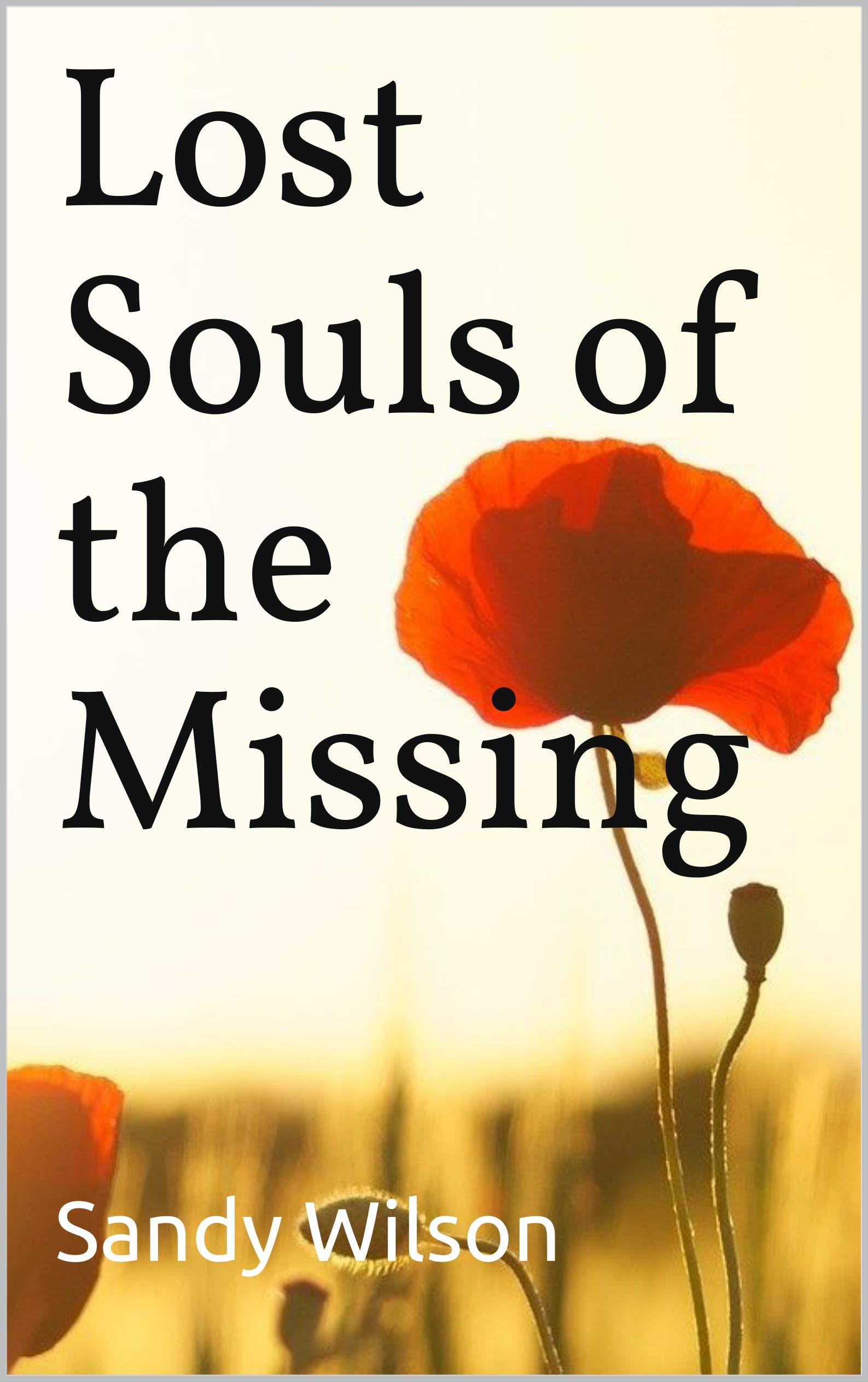 Lost Souls of the Missing