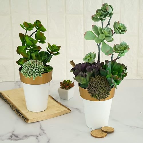 Miniatura 7 de Efavormart - Paquete de 2 macetas decorativas para interiores y jardines con borde blanco y dorado de 6 pulgadas