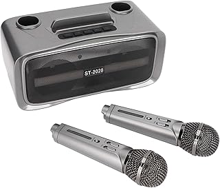 ST‑2028 Portable Karaoke, System Bluetooth Machine Psp Case Speaker with 2 Mic for Wedding Party Lecture Silver Black