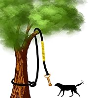 Vista 7 de Juguete elástico para perros de 20.35 pies con cuerda interactiva reforzada con dos recambios de repuesto, juguetes interactivos para perros