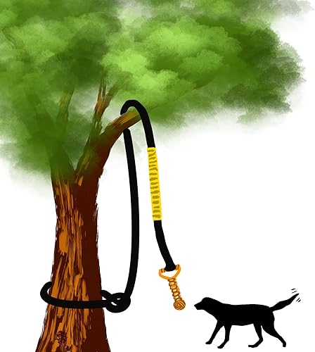 Miniatura 7 de Juguete elástico para perros de 20.35 pies, juguete interactivo reforzado con dos juguetes de cuerda de repuesto, juguetes interactivos de cuerda