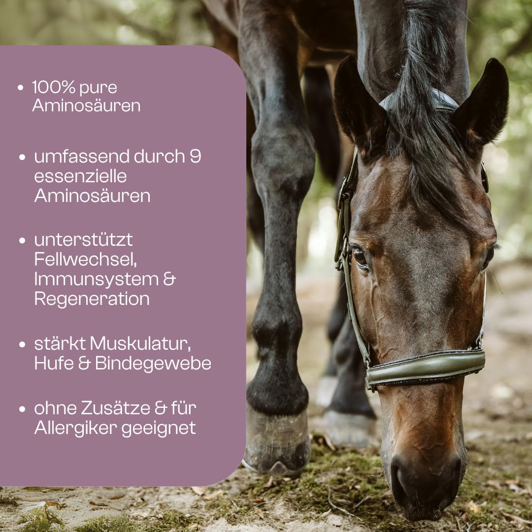 Aminosäuren Vitalmix für Pferde, 100% Reine dopingfreie L-Aminosäuren, 650g Monatspackung