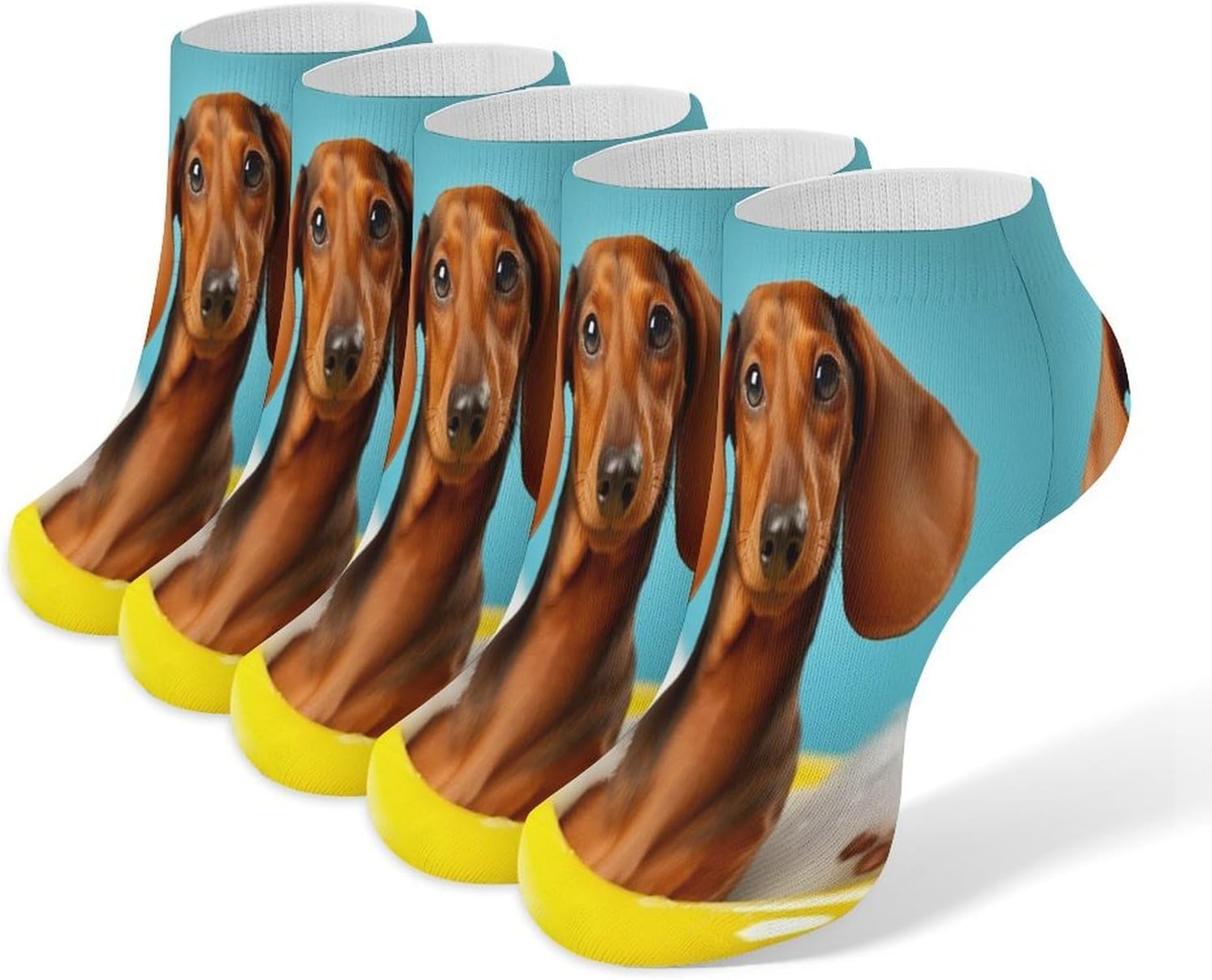Dachshund Dog Ankle Sock Low Cut Socks Tube Socks for Sports