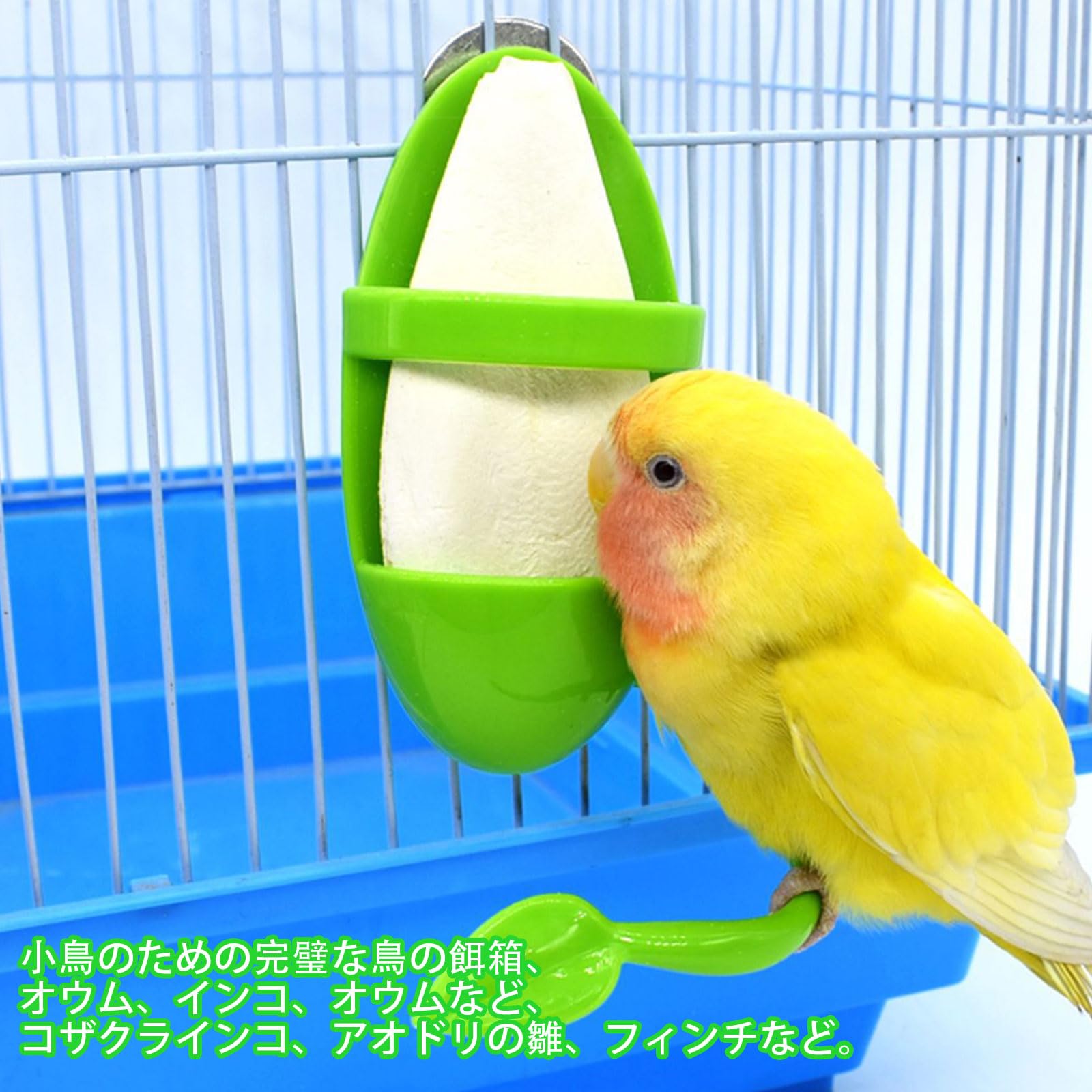 Amazon.co.jp: カトルボーン ホルダー バードフィーダー 鳥 餌入れ