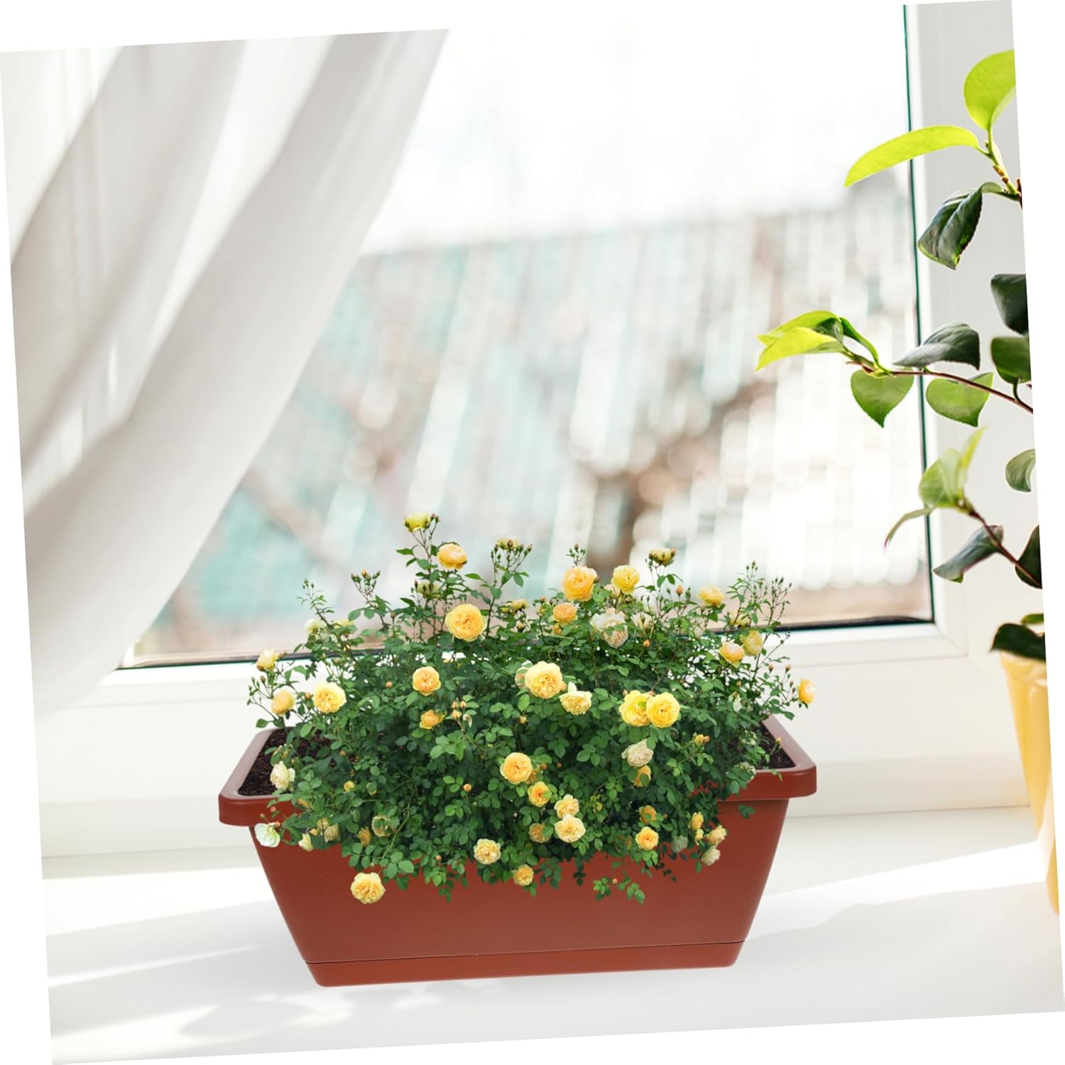 BESTOYARD 4pcs Box Rectangular Pot Outdoor planters Bonsai Flowerpot Planters Outdoor Balcony Garden Vegetable pots Indoor pots for Plants Office Bonsai Pot Plastic Rural Planter Box