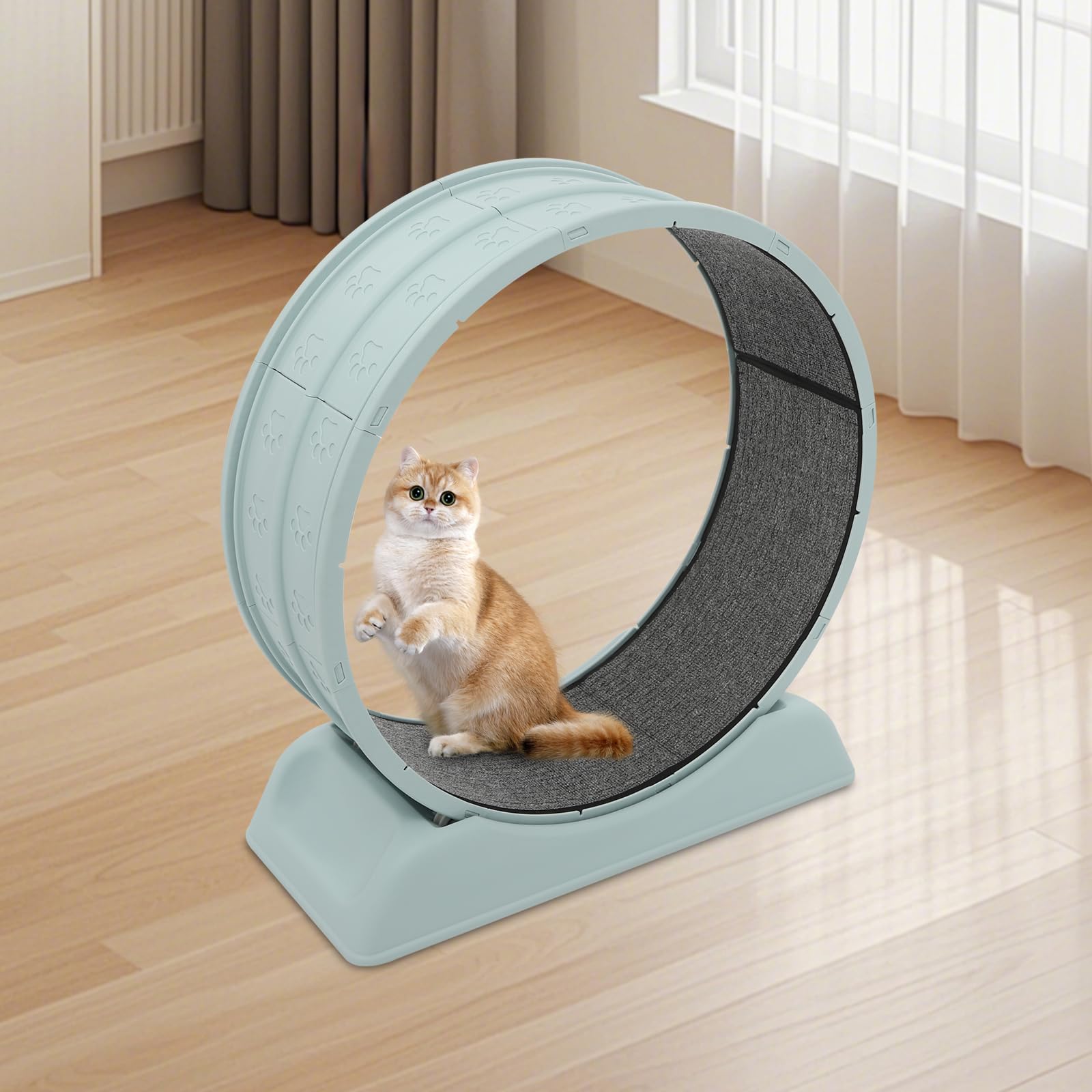 Rueda para gatos de 80 cm de diámetro, capacidad de carga de 10 kg, silenciosa con hebilla de seguridad, bicicleta de entrenamiento para gatos de interior con alfombra y varilla de juego