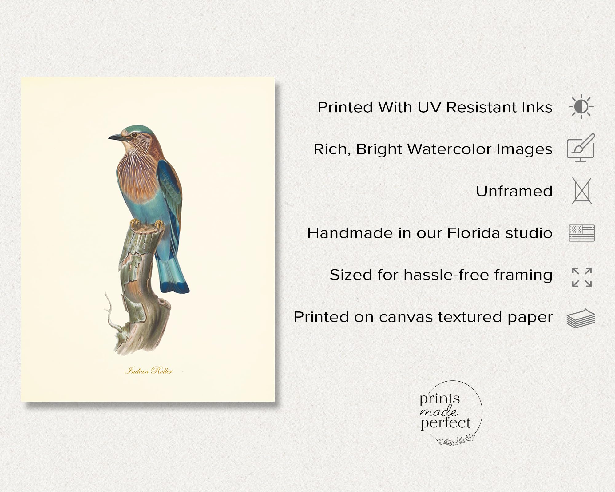 Amazon.com: Vintage Bird Wall Art Prints Set of 6 - Audubon