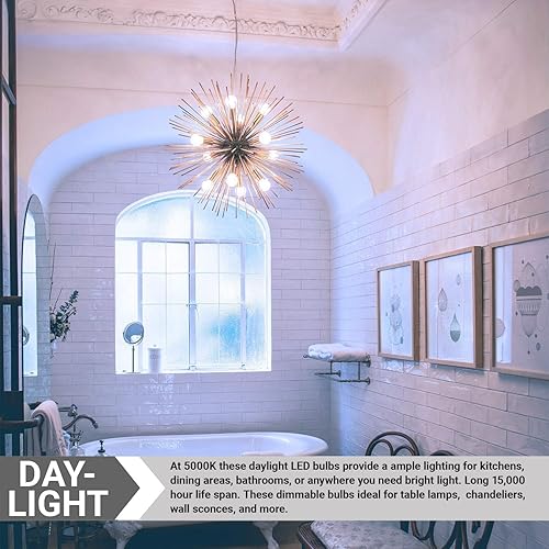 Miniatura 5 de Sunlite 80789-SU Bombilla LED G16.5 Estilo de filamento Globo, 5 W (equivalente a 60 W), 500 lúmenes, regulable, base de candelabro (E12), con