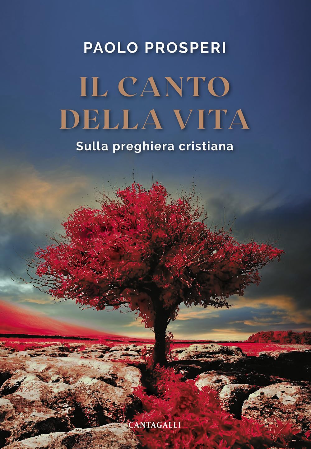 Il Canto Della Vita. Sulla Preghiera Cristiana - 4