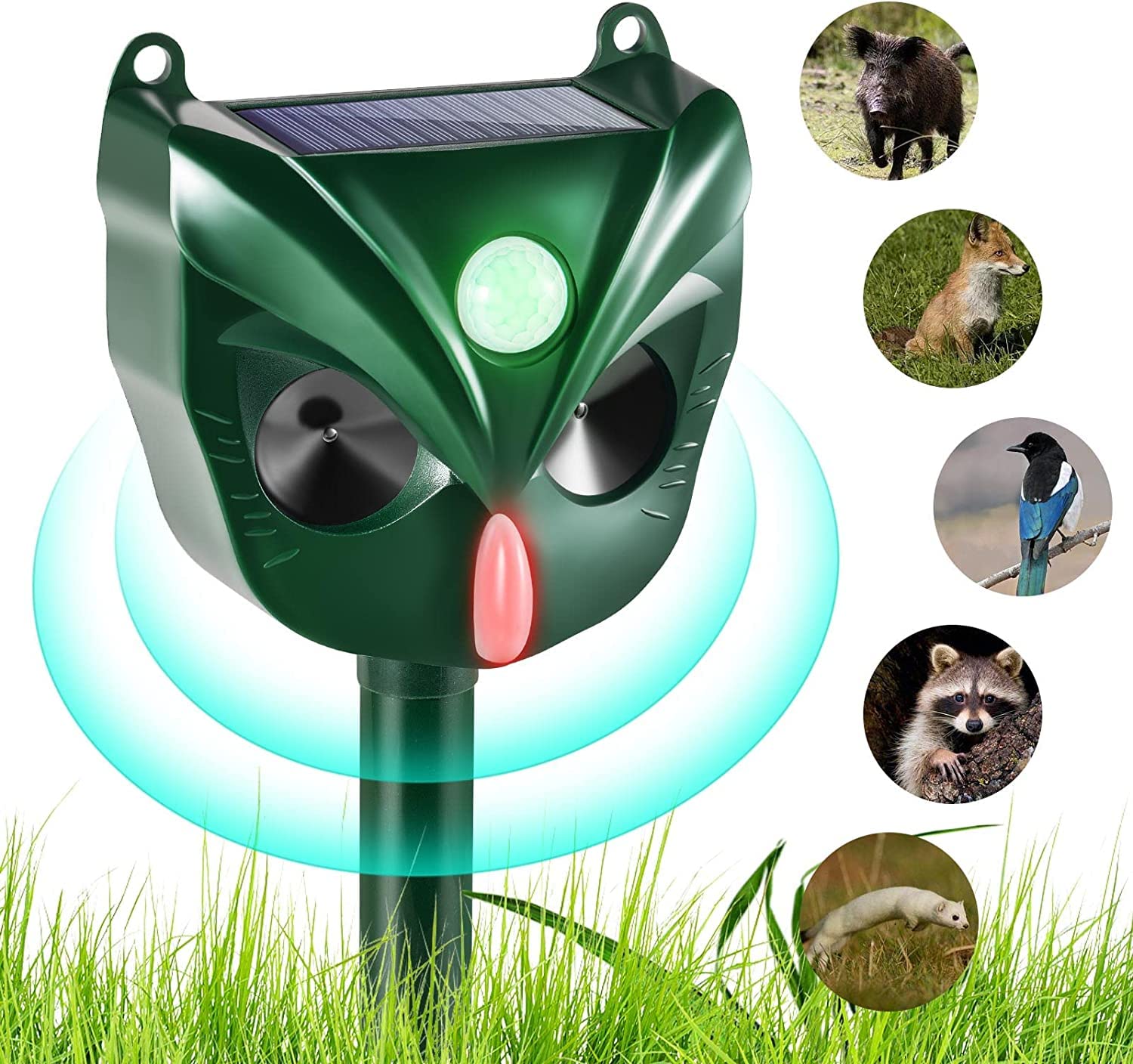 Buy Solar Animal Repeller Outdoor, Ultrasonic Cat Repellent Motion