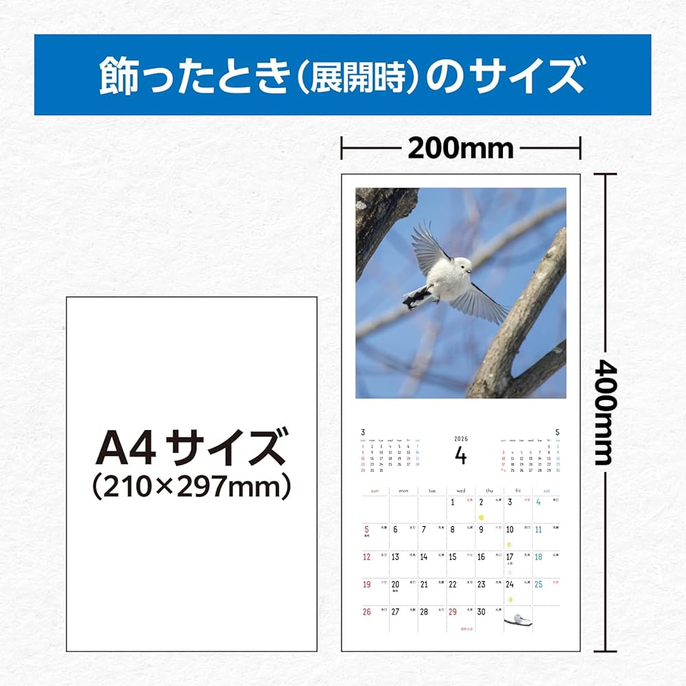 シマエナガカレンダーフック オーダー受け付けページ30名様 シマエナガカレンダーフック オーダー受け付けページ30名様
