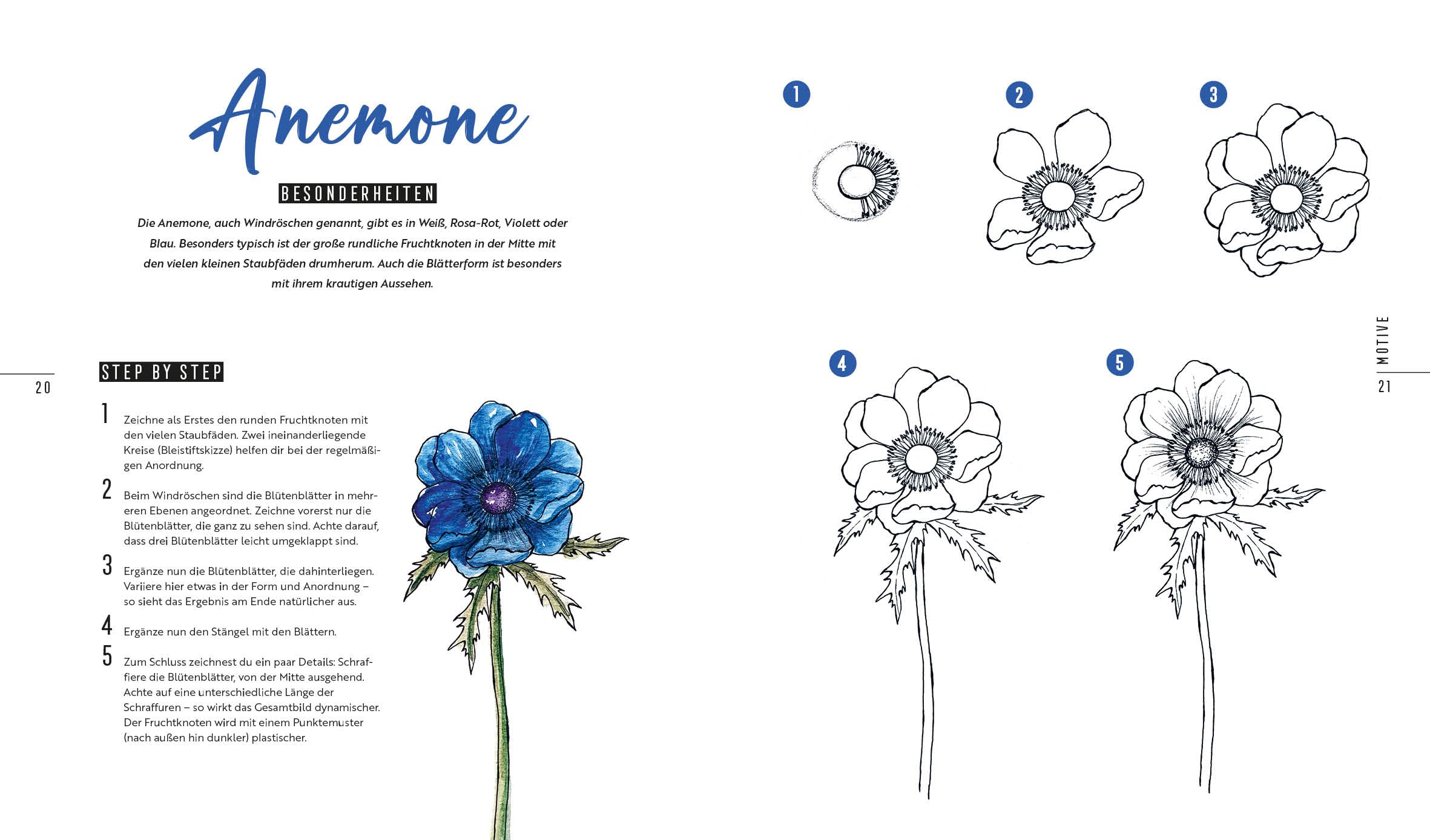 How to Draw Flowers: 50 Blumen und Blüten in nur 5 Schritten zeichnen