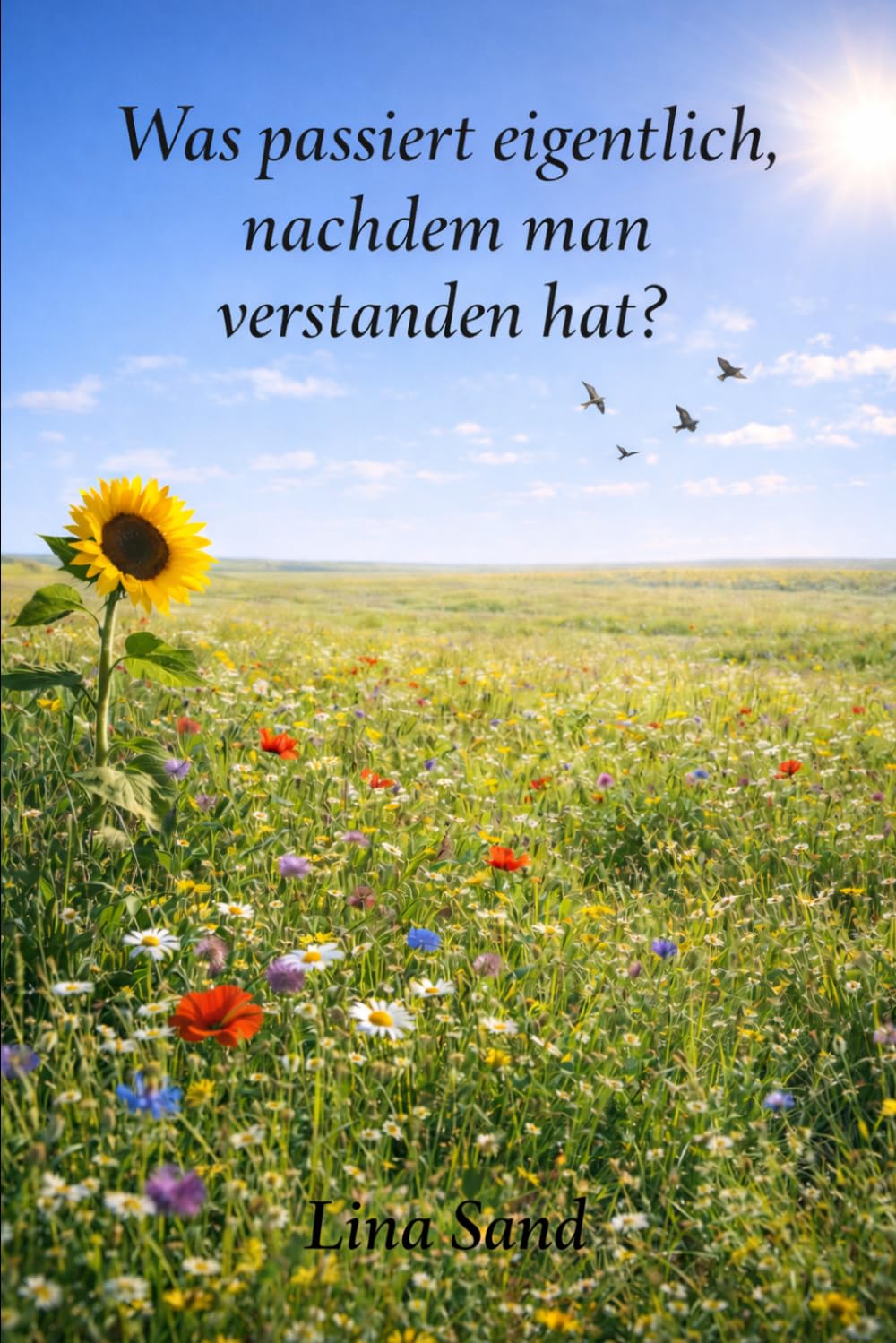 Was passiert, eigentlich nachdem man versteht ? (Nicht getrennt, nur nicht verbunden)