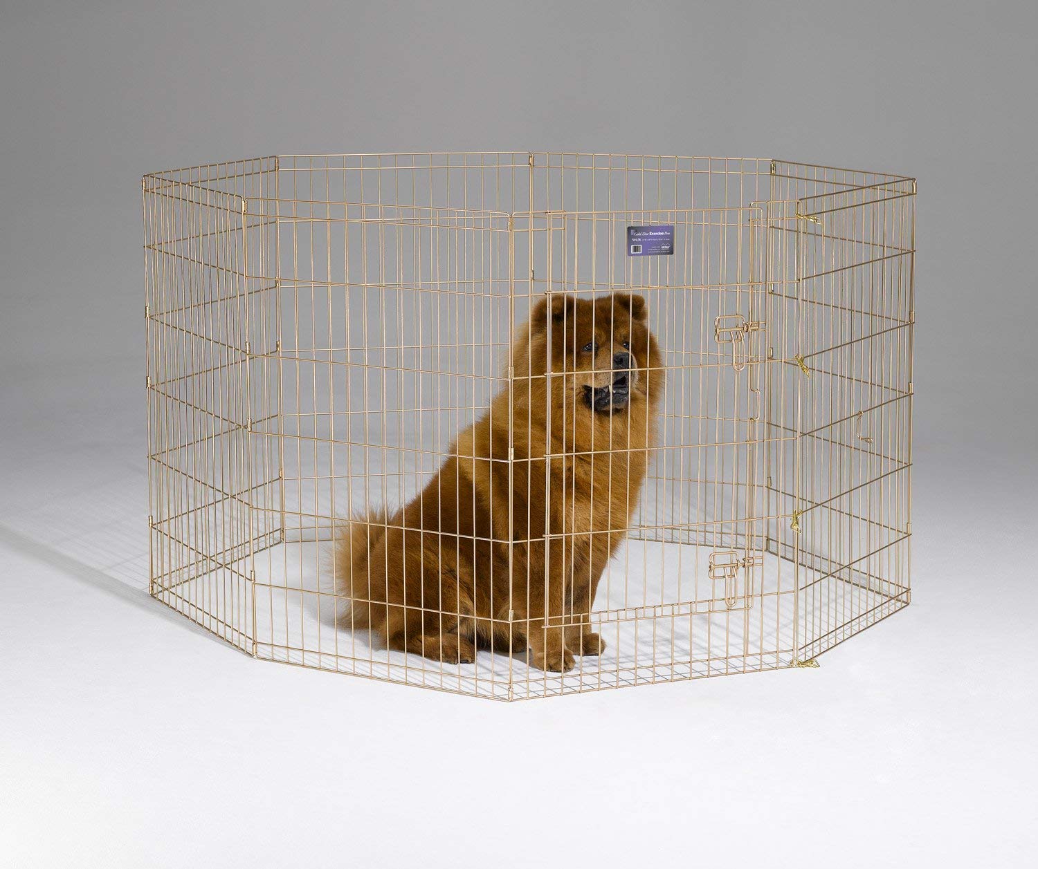 MidWest Homes for Pets Recinto pieghevole, in metallo con porta, 60,96 x 91,44 cm (La x A), zinco dorato, 544-36