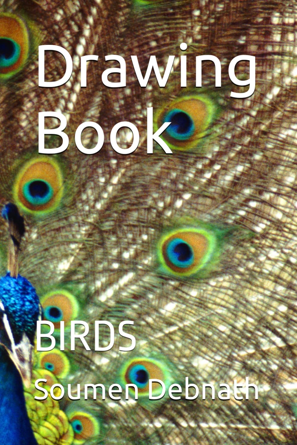 Drawing Book: Birds