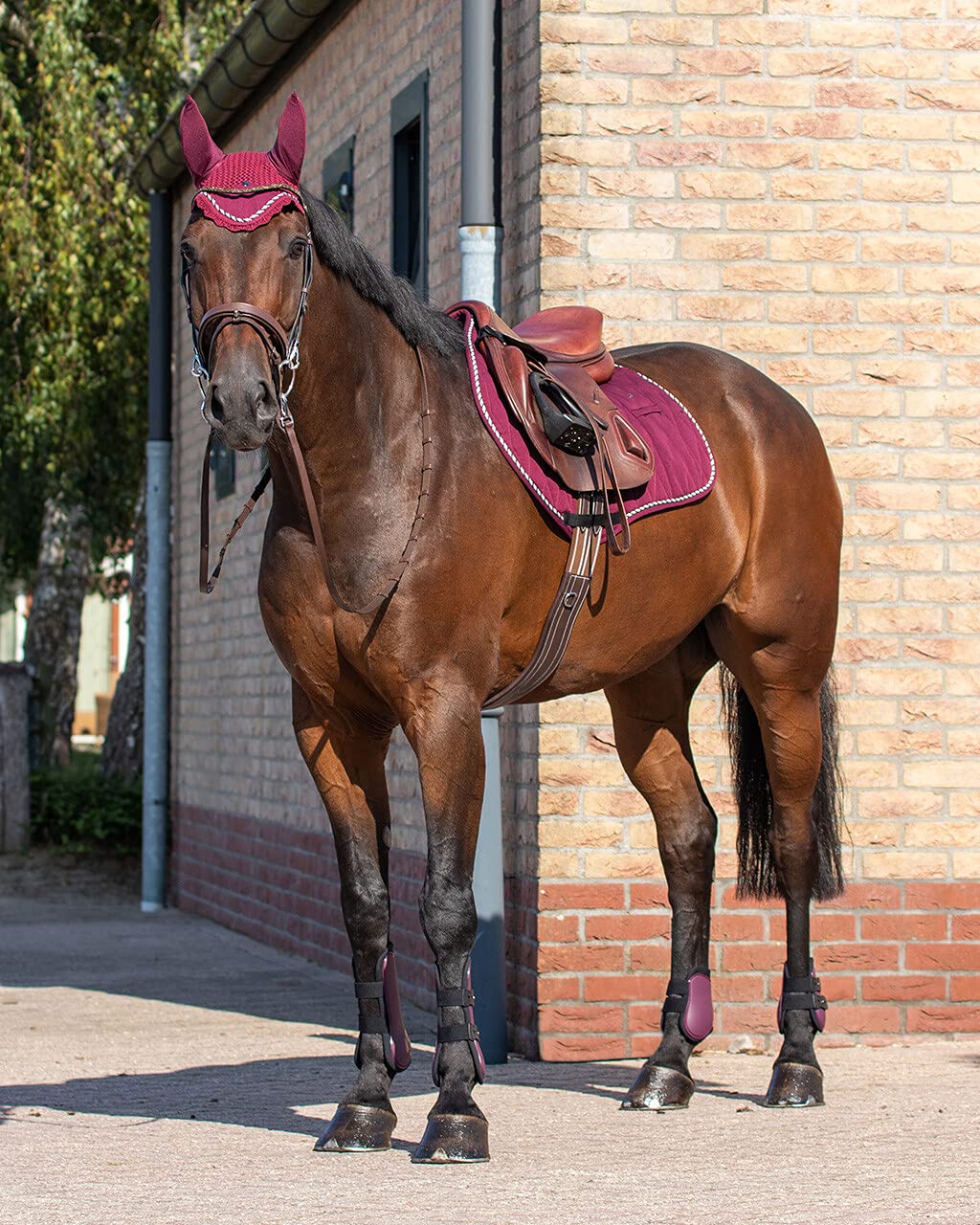 ARBO-INOX Gamaschen Set Schnellverschluss anatomisch geformt (Full WARMBLUT, Bordeaux)