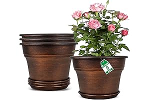 9-Inch Plant Planters with Drainage Holes and Trays