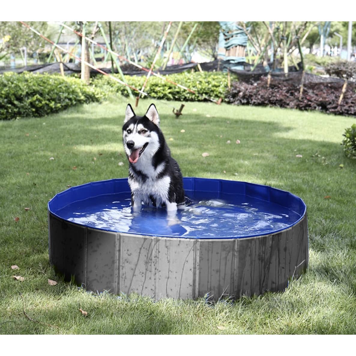 Grande piscine pliable pour chien - 100 x 30 cm - Piscine de jardin antidérapante avec valve de vidange - Capacité de 230 l - Idéale pour 1 à 2 chiens