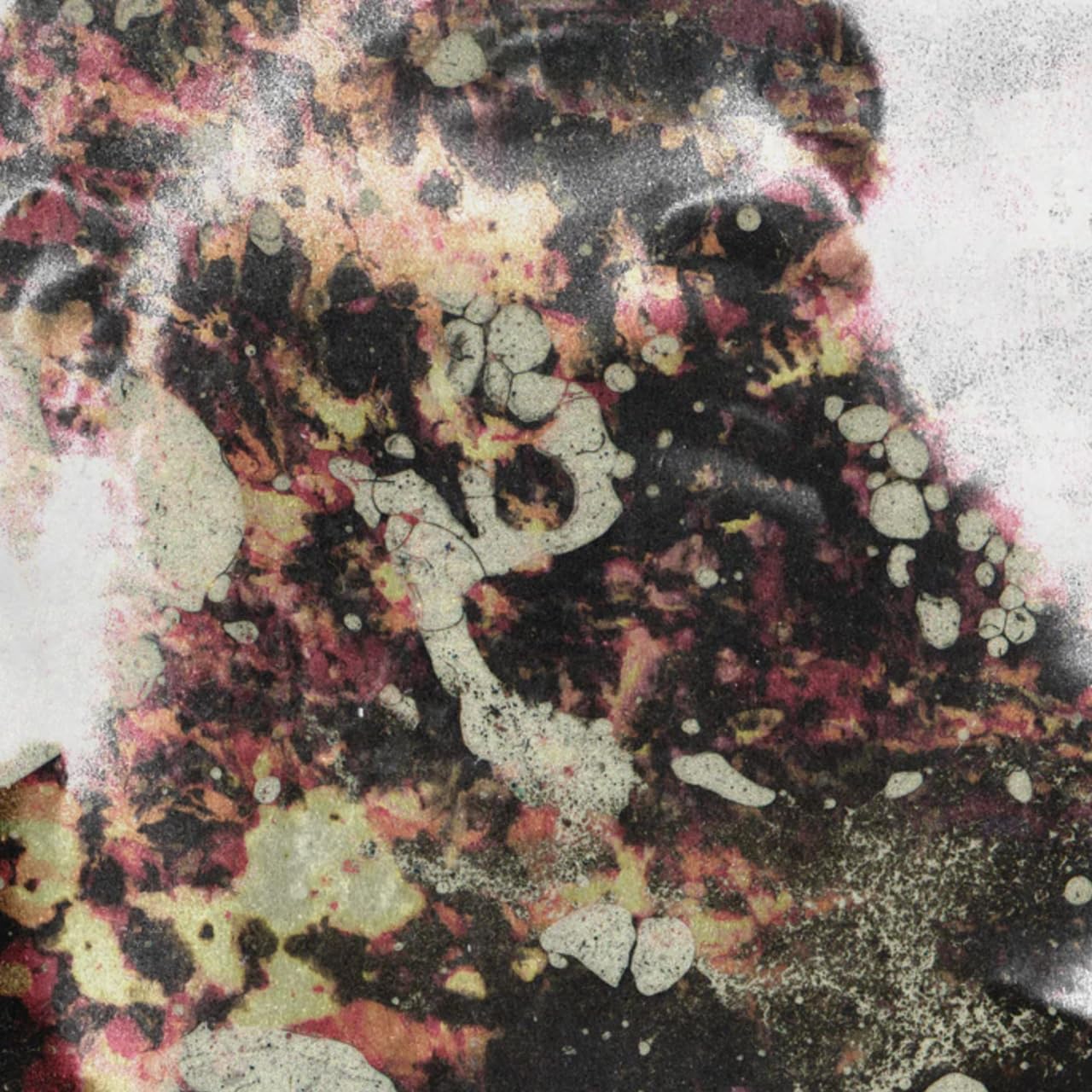 CHARLIE POPE [VINYL]