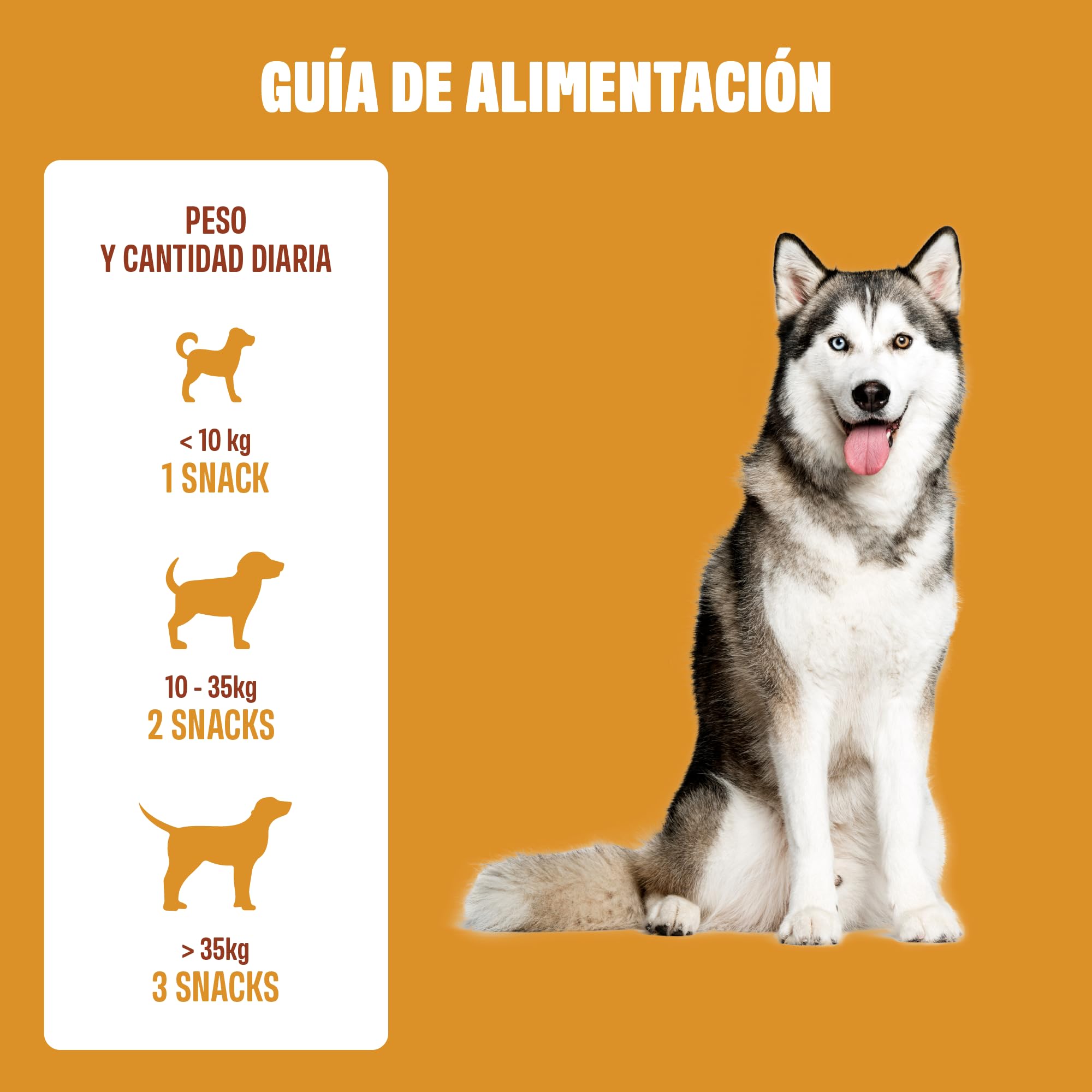 ivvi Cardio para Perros – 60 Snacks Blandos con L-carnitina, taurina, L-arginina, magnesio, Aceite de salmón, Bayas de espino Blanco y Granada – función cardíaca, energía y vitalidad – con Pollo
