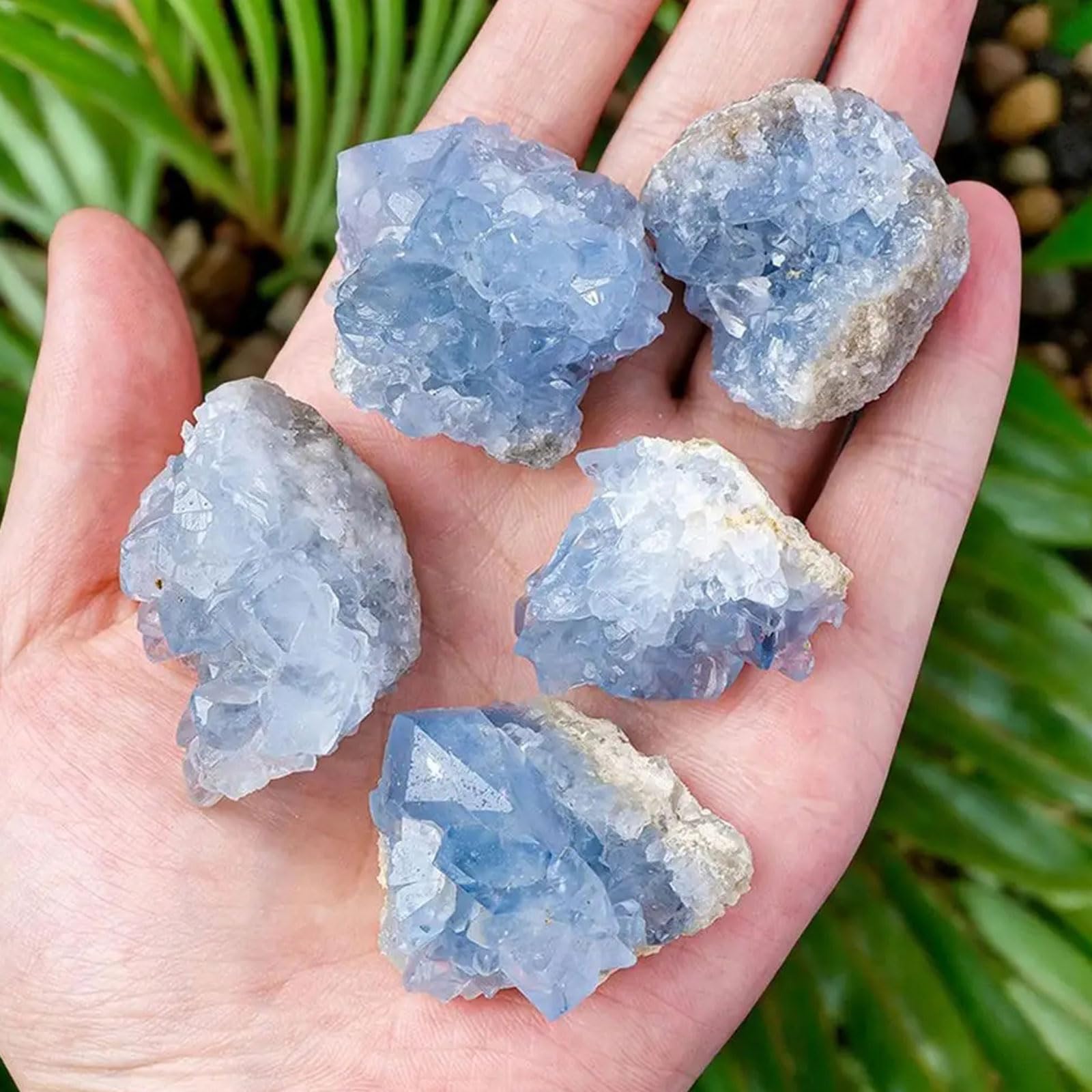 Amazon.co.jp: 天然ブルーセレスタイトジオード原石 不規則な