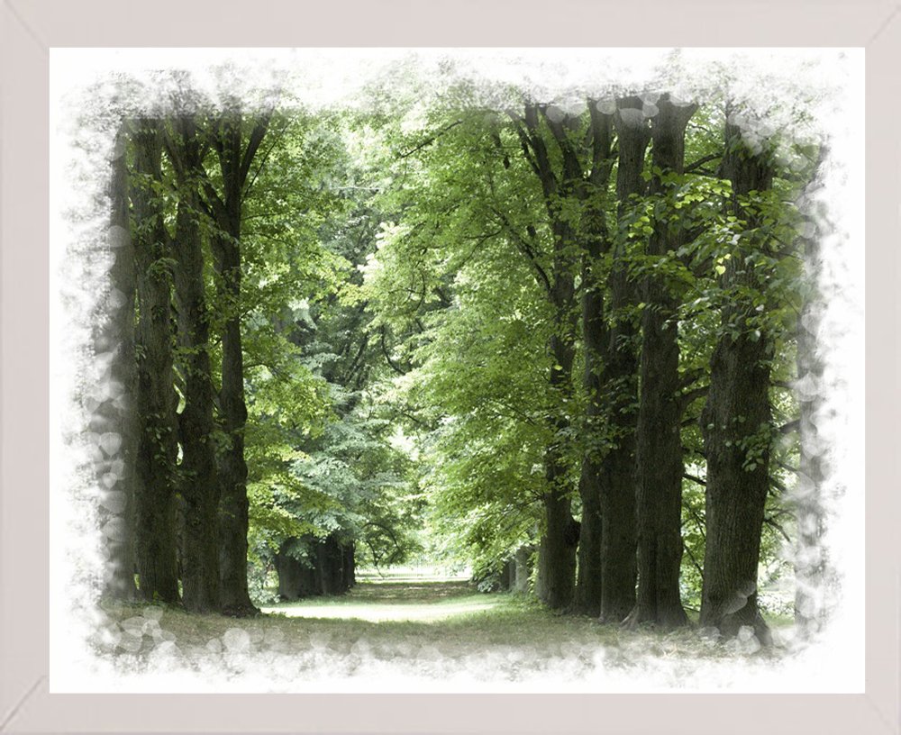 Frame USA The End of The Road-HARTRE77698 Print 20"x25" by Harold Silverman-Trees & Old Fences, 20x25, Affordable White Medium