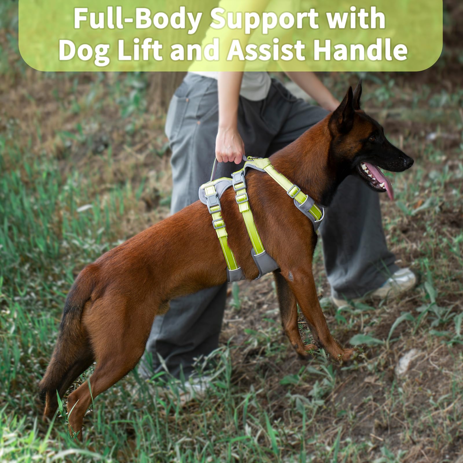 Huntboo Escape Proof Dog Harness Medium, Anti-Pull Dog Harness with Handle, Breathable, Adjustable, Reflective Dog Harnesses - Image 4