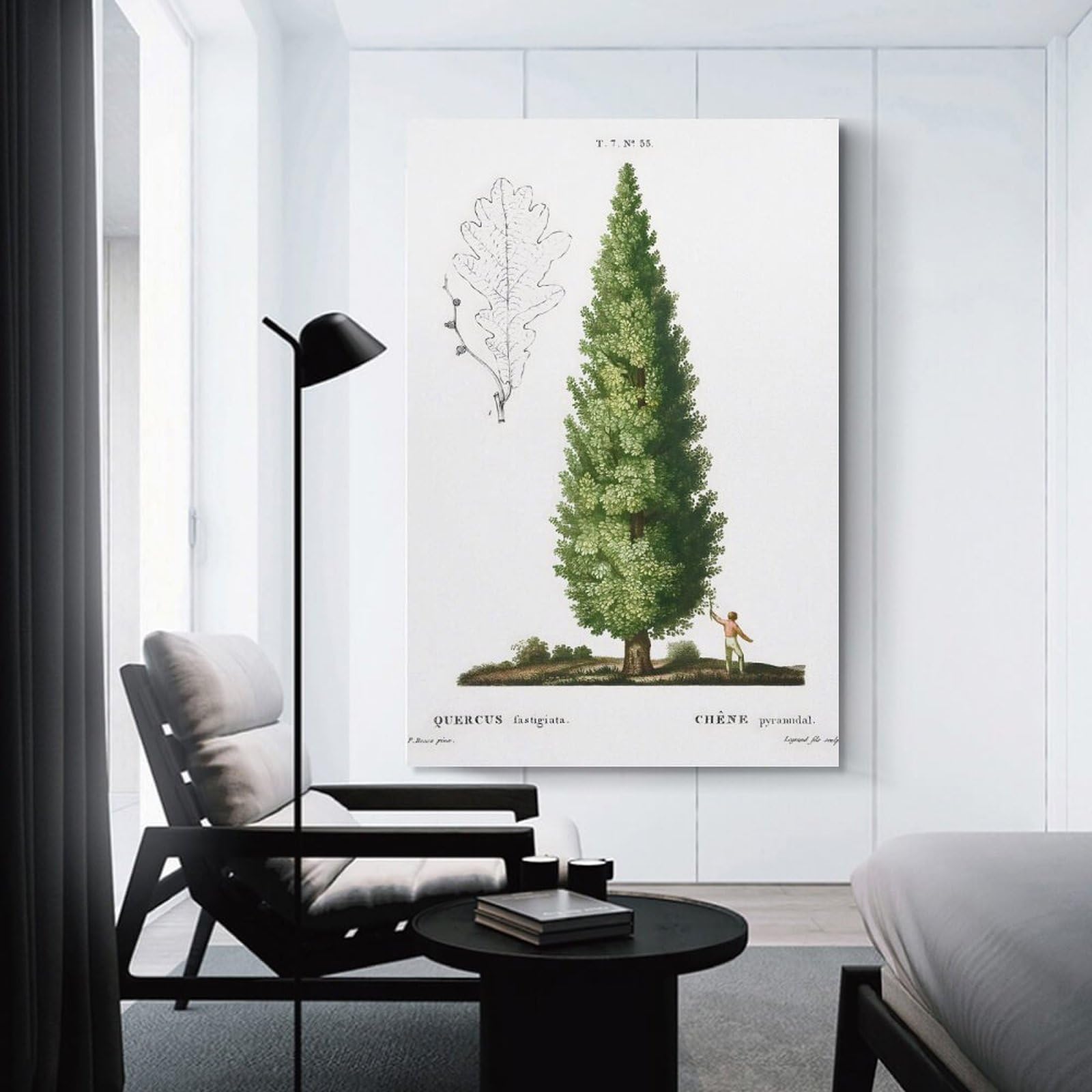 Junmoney English Oak Tree Canvas Art Print 24x36inch(60x90cm), for Front Hall, Corridor Or Welcome Spaces, Home Artwork for First Impressions