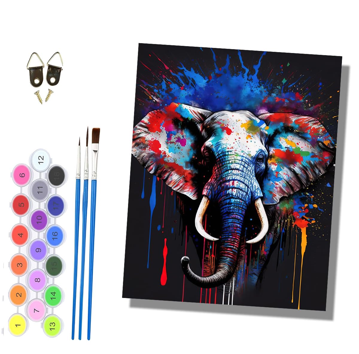 HONGPZH Paint by Numbers for Adults and Beginner Painting by Number Without Frame Oil Paintings on Canvas House Wall Decor 16x20in Colorful Inkjet Elephant