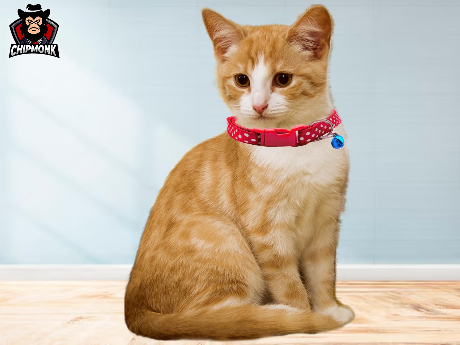Chipmonk Set of 3 Cat & Puppy Collar with Bell,Kitten & Small Dogs Soft Adjustable,Safe,Solid & Protective Breakaway for Cats & Puppies,Cute Kitty Neckband with Dots Print-(Green,Red,Yellow) 1