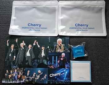 玉置浩二 安全地帯 ツアーパンフレットファンクラブ情報誌13〜16