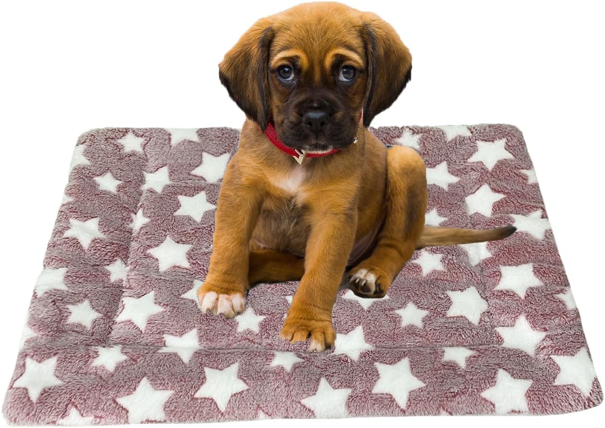 Colchoneta para Perro Tamaño Mediano Reversible y Lavable