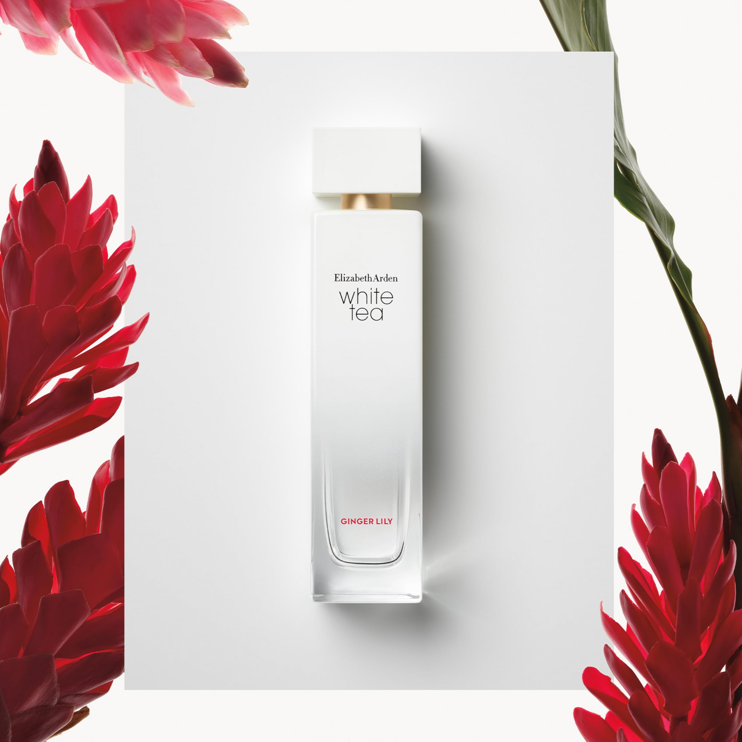 Elizabeth Arden – White Tea Ginger Lily Eau de Toilette Spray: fragranza dolce e floreale con giglio allo zenzero, estratto di tè bianco e legno di Madras, fresca e sensuale, per il benessere, 50 ml