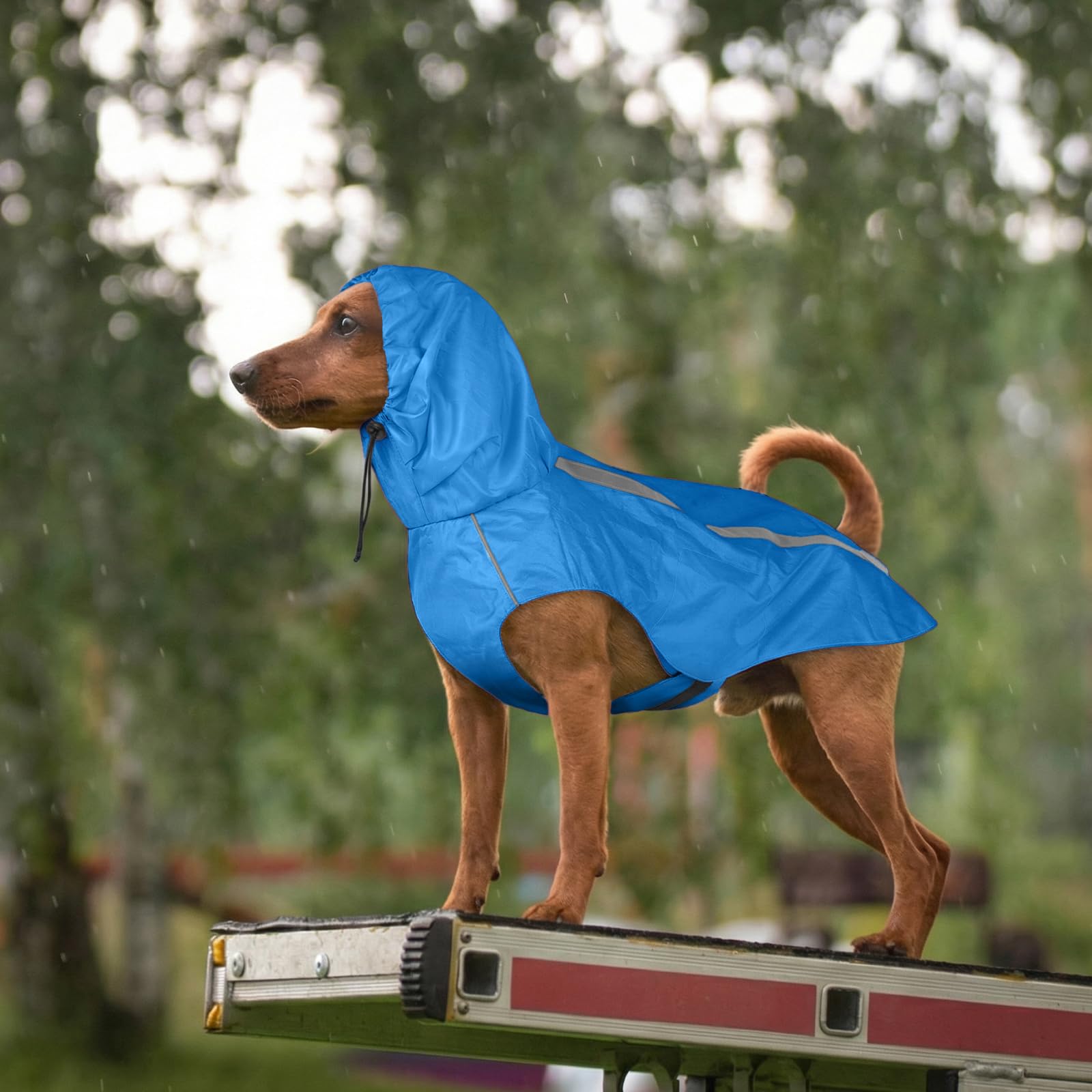 Manteau de pluie imperméable pour chien avec bord réfléchissant, réglable, léger, à capuche, vêtement coupe-vent pour chiens de petite à 3XL, taille 3XL