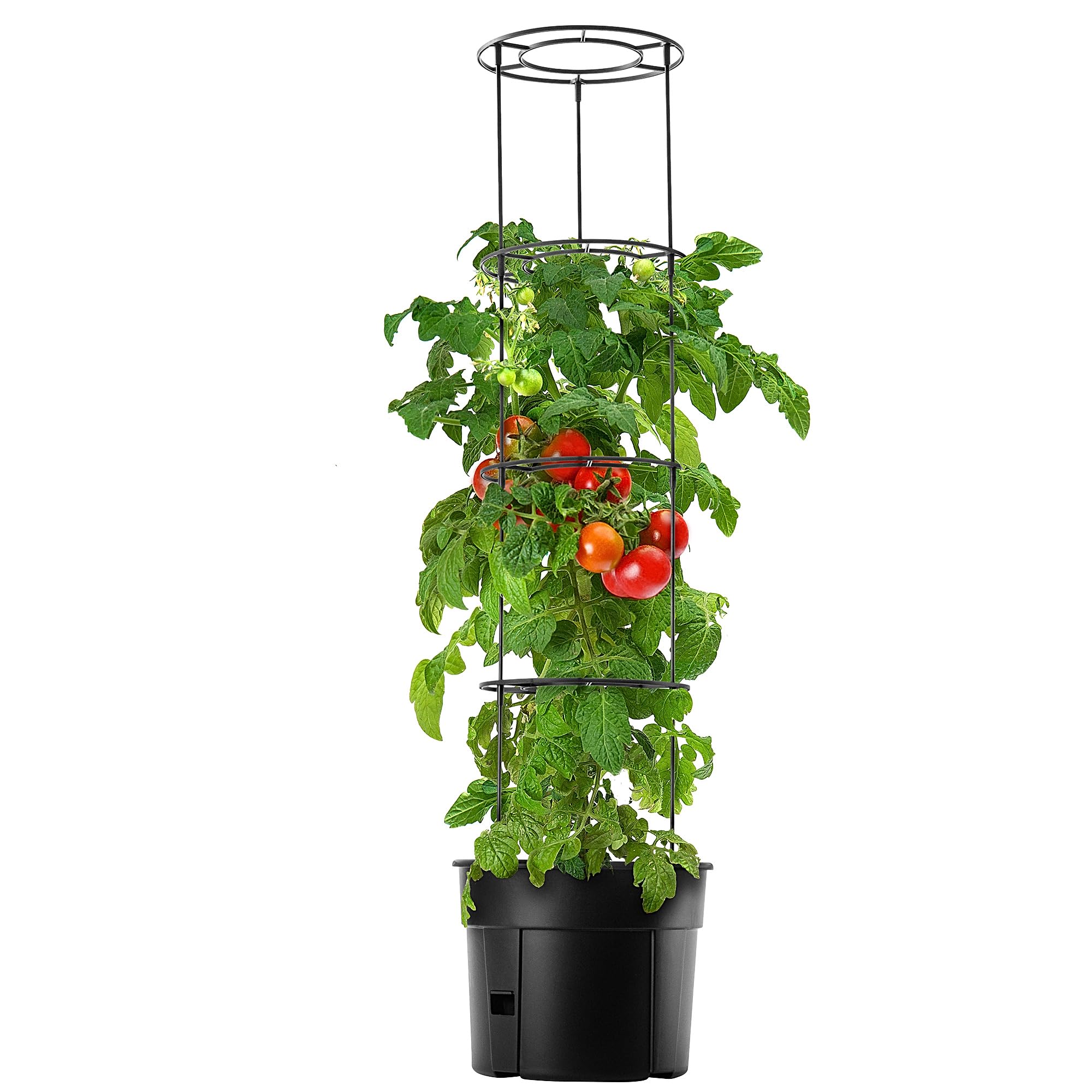 KADAX Pot à tomates avec tuteur - Pot de tomates - En plastique avec grille - Pot pour plantes de tomates - Tour de culture - Pot de soutien pour plantes grimpantes - Diamètre : 40 cm - Anthracite