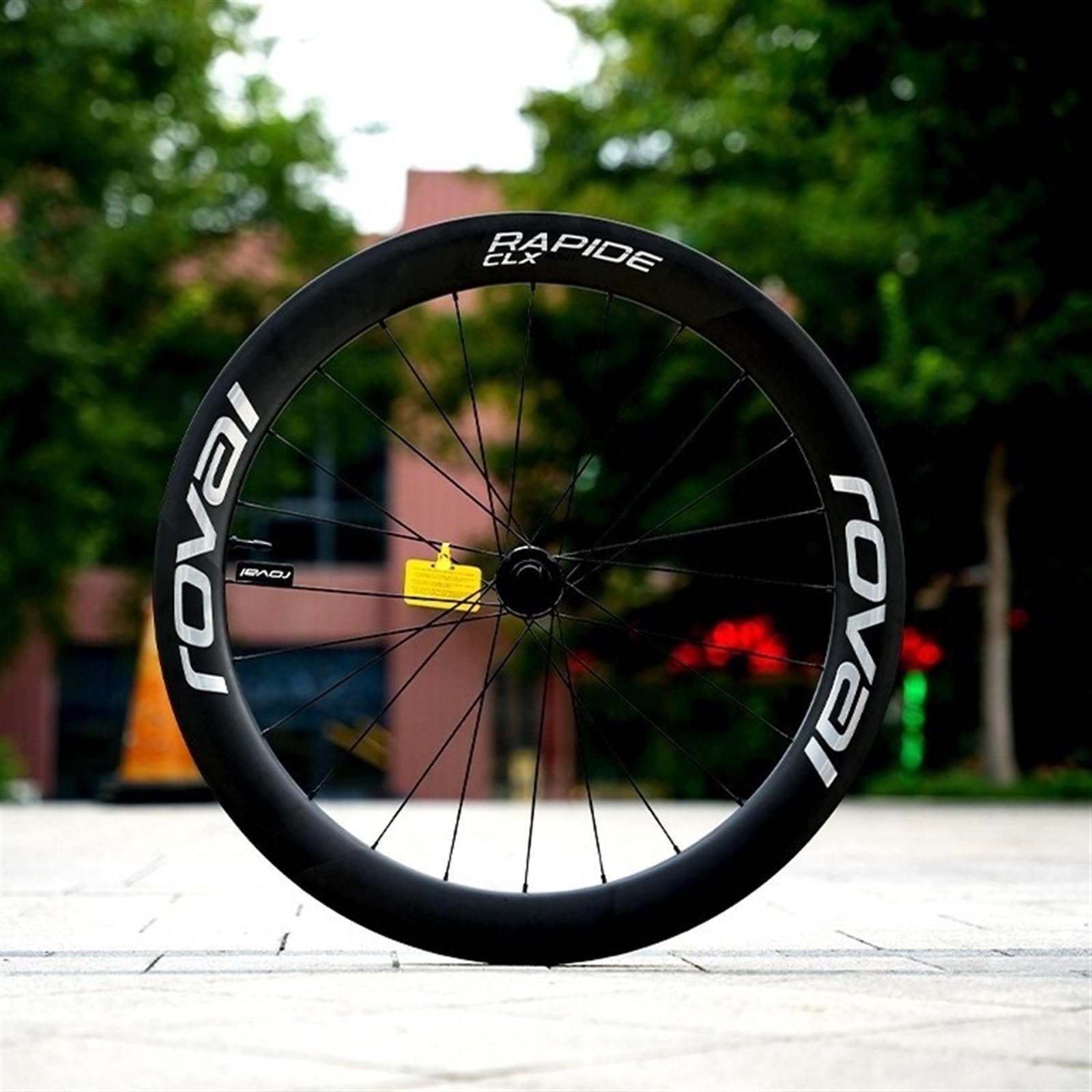 Amazon.co.jp: 自転車ホイールステッカー RO-VA-L RA-PI-DE CL