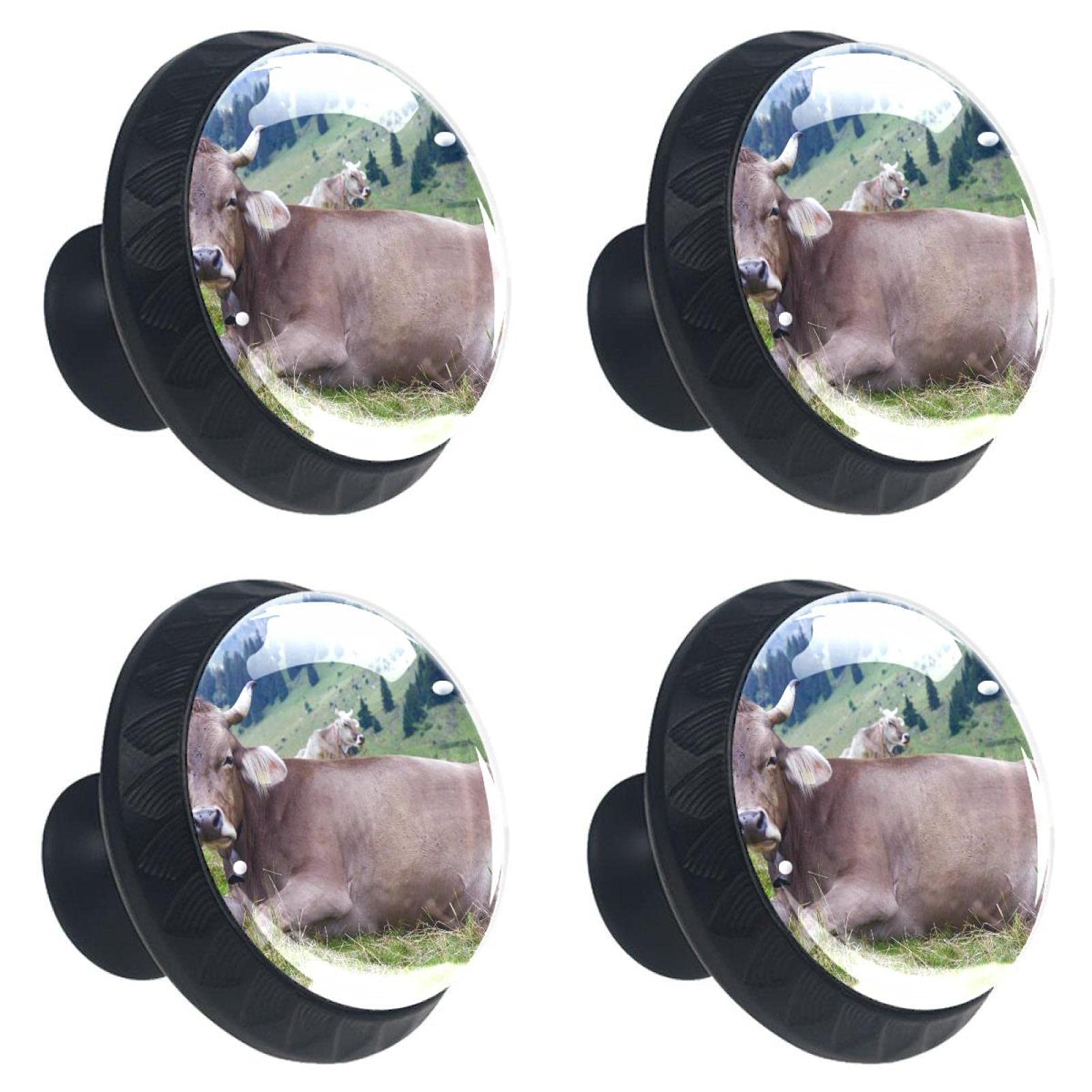 Boutons de tiroir vache en cristal pour remplacer vos vieilles poignées de meuble usées