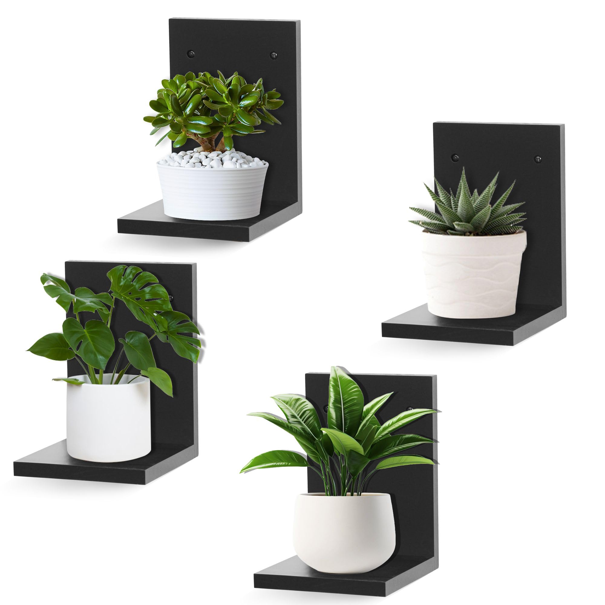 PHOENANCEE Small Wall Shelf Modern,Wooden Mini Floating Shelves,Indoor Wall Mounted Plants Shelf L Shaped,Midcentury Display Decorative Holder for